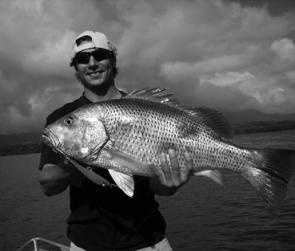 Gavin Caspani with a quality fingermark caught trolling in the Hinchinbrook Channel. 